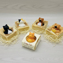 Load image into Gallery viewer, Soapy Pals Handmade Soap Bar for Kids VEGAN COLD PROCESS