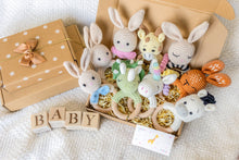 Load image into Gallery viewer, Animal Hand Crochet Rattles - Classic Collection: Dinosaur