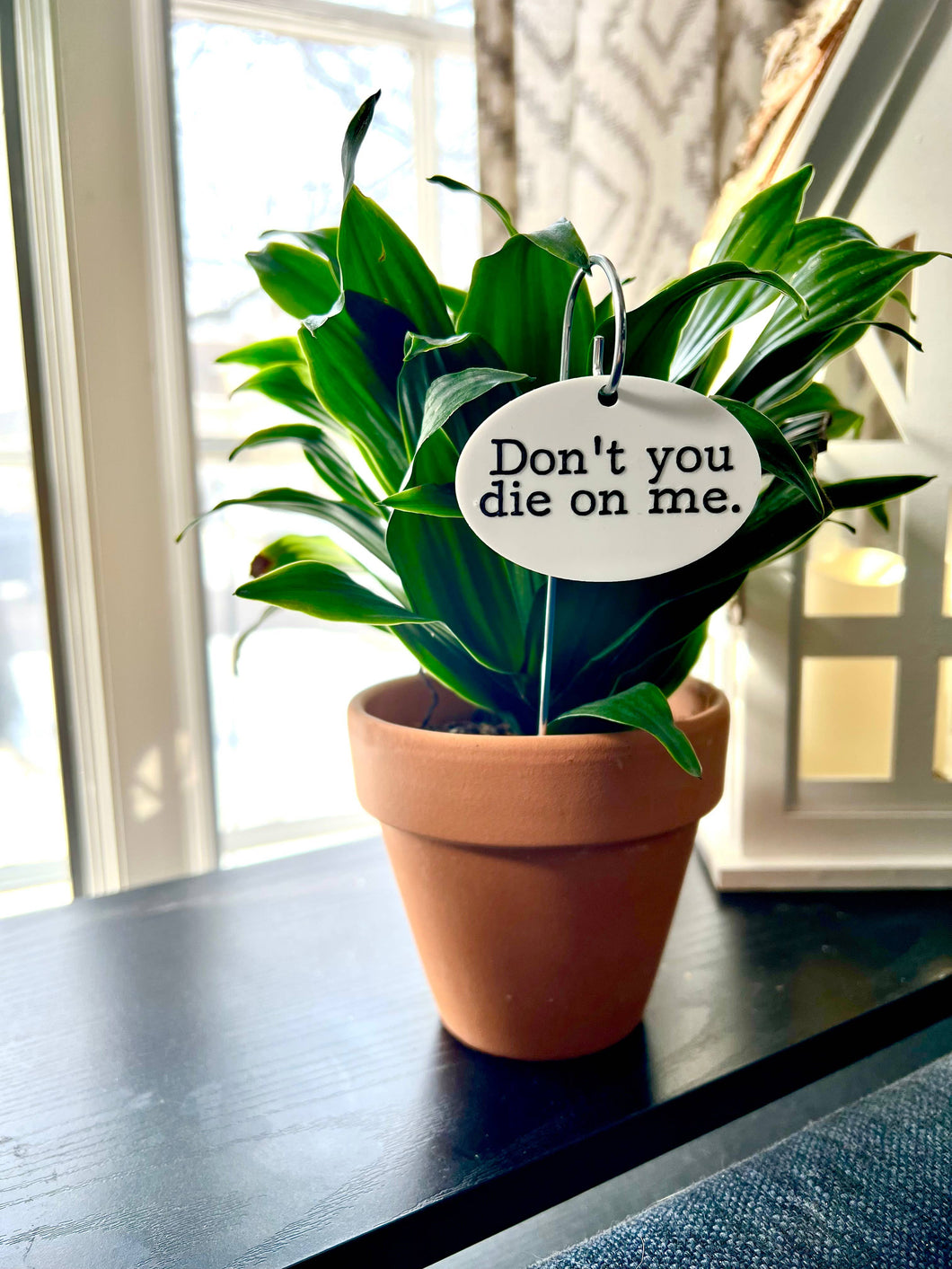 Don't You Die On Me Flower Pot Plant Stake 