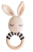 Load image into Gallery viewer, Animal Hand Crochet Rattles - Classic Collection: Dinosaur
